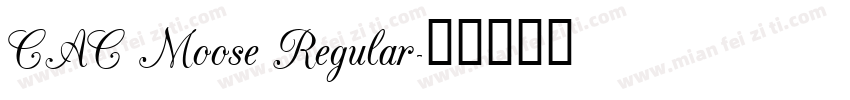 CAC Moose Regular字体转换